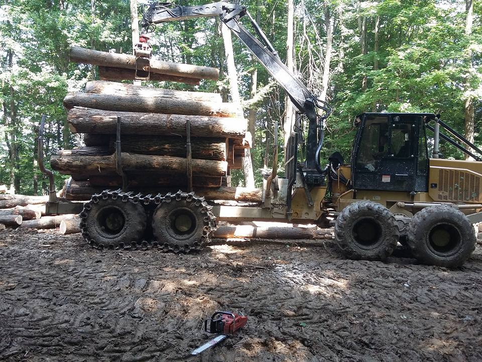 Heavy-duty log forwarder with full load of quality timber