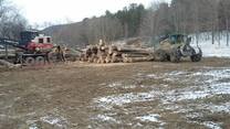 Active logging operation site with professional crew and equipment